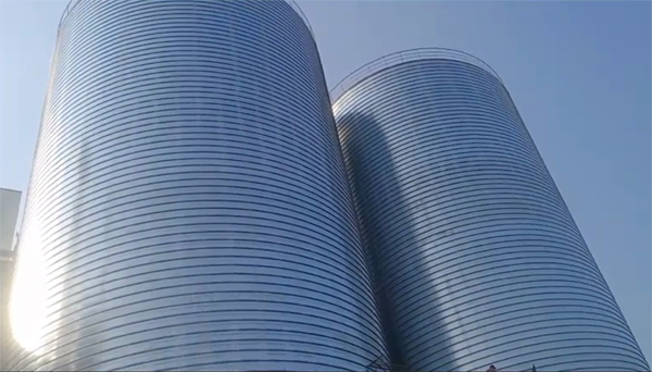 名山2座混凝土高架卷板仓